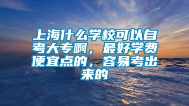 上海什么学校可以自考大专啊，最好学费便宜点的，容易考出来的