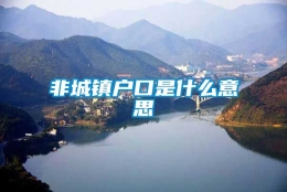 非城镇户口是什么意思