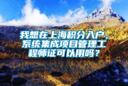 我想在上海积分入户，系统集成项目管理工程师证可以用吗？