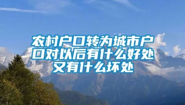 农村户口转为城市户口对以后有什么好处又有什么坏处