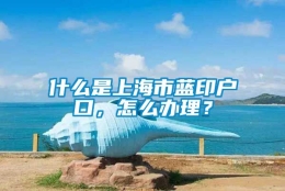 什么是上海市蓝印户口，怎么办理？