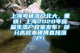 上海考研落户北大，重磅！上海2020年应届生落户政策发布！部分高校本硕博直接落户！