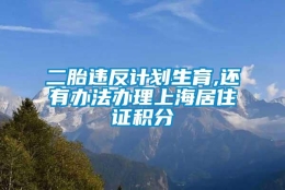 二胎违反计划生育,还有办法办理上海居住证积分