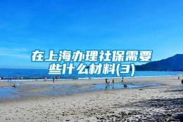 在上海办理社保需要些什么材料(3)