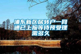 浦东新区居转户一网通已上报等待预受理需多久