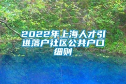 2022年上海人才引进落户社区公共户口细则