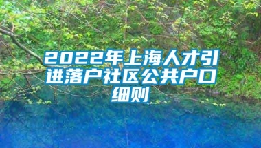 2022年上海人才引进落户社区公共户口细则