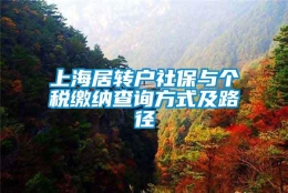 上海居转户社保与个税缴纳查询方式及路径