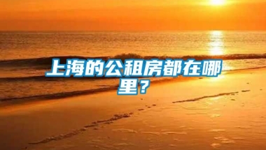 上海的公租房都在哪里？