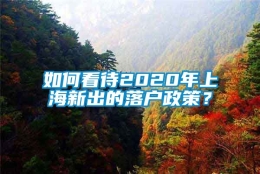 如何看待2020年上海新出的落户政策？