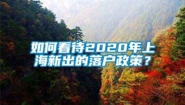 如何看待2020年上海新出的落户政策？