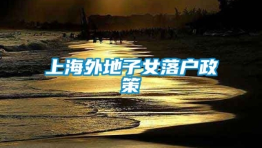 上海外地子女落户政策