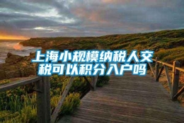 上海小规模纳税人交税可以积分入户吗