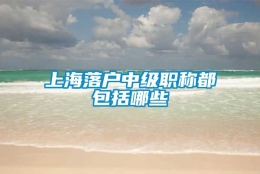 上海落户中级职称都包括哪些