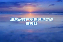 浦东居转户受理通过审哪些内容