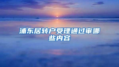 浦东居转户受理通过审哪些内容