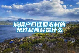 城镇户口迁回农村的条件和流程是什么