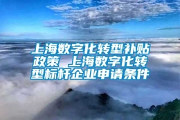 上海数字化转型补贴政策 上海数字化转型标杆企业申请条件