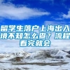 留学生落户上海出入境不知怎么查？流程看完就会