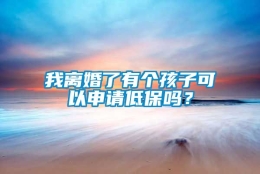 我离婚了有个孩子可以申请低保吗？