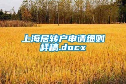 上海居转户申请细则样稿.docx