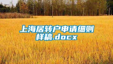 上海居转户申请细则样稿.docx