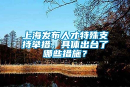 上海发布人才特殊支持举措，具体出台了哪些措施？