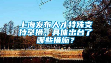 上海发布人才特殊支持举措，具体出台了哪些措施？