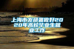 上海市发部署做好2020年高校毕业生就业工作