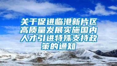 关于促进临港新片区高质量发展实施国内人才引进特殊支持政策的通知