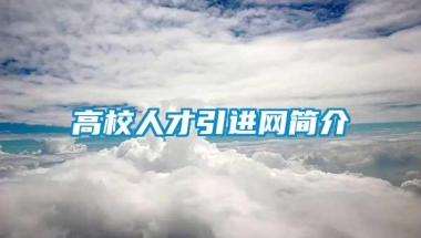 高校人才引进网简介