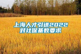 上海人才引进2022对社保基数要求