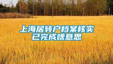 上海居转户档案核实已完成啥意思