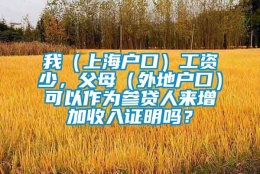 我（上海户口）工资少，父母（外地户口）可以作为参贷人来增加收入证明吗？