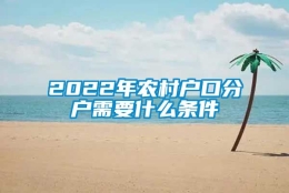 2022年农村户口分户需要什么条件