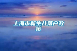 上海市新生儿落户政策