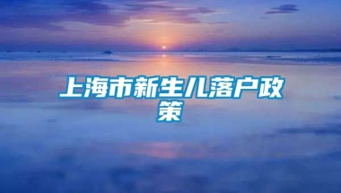 上海市新生儿落户政策