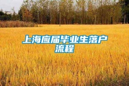 上海应届毕业生落户流程