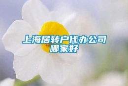 上海居转户代办公司哪家好