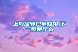 上海居转户审核中,下一步是什么