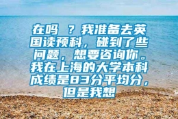 在吗 ？我准备去英国读预科，碰到了些问题，想要咨询你。我在上海的大学本科成绩是83分平均分，但是我想