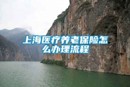 上海医疗养老保险怎么办理流程