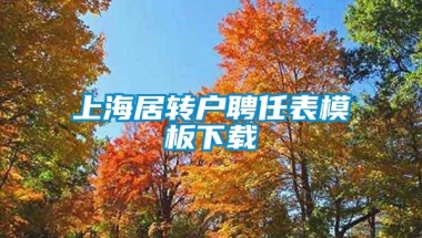 上海居转户聘任表模板下载