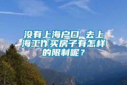 没有上海户口 去上海工作买房子有怎样的限制呢？