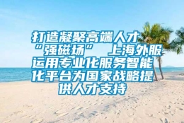 打造凝聚高端人才“强磁场” 上海外服运用专业化服务智能化平台为国家战略提供人才支持