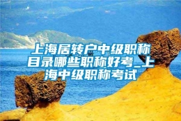 上海居转户中级职称目录哪些职称好考_上海中级职称考试