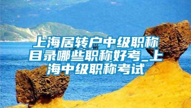 上海居转户中级职称目录哪些职称好考_上海中级职称考试