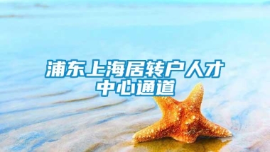 浦东上海居转户人才中心通道