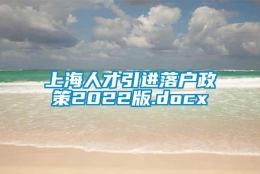 上海人才引进落户政策2022版.docx