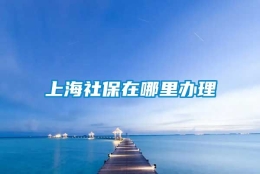 上海社保在哪里办理